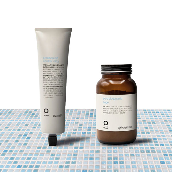 セバムバランス ペースト